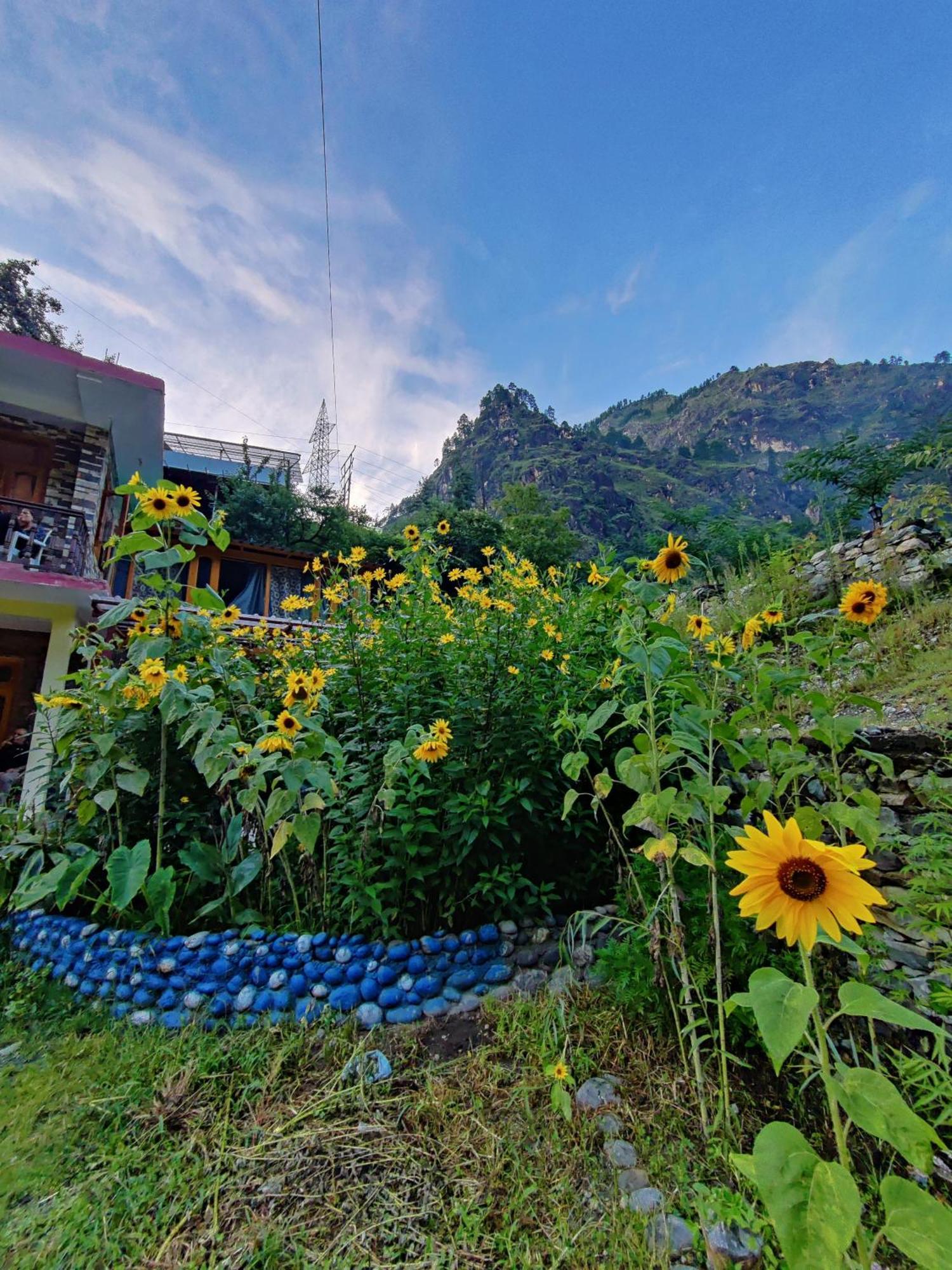 Flipsyde Retreat Hotel Kasol Exterior foto