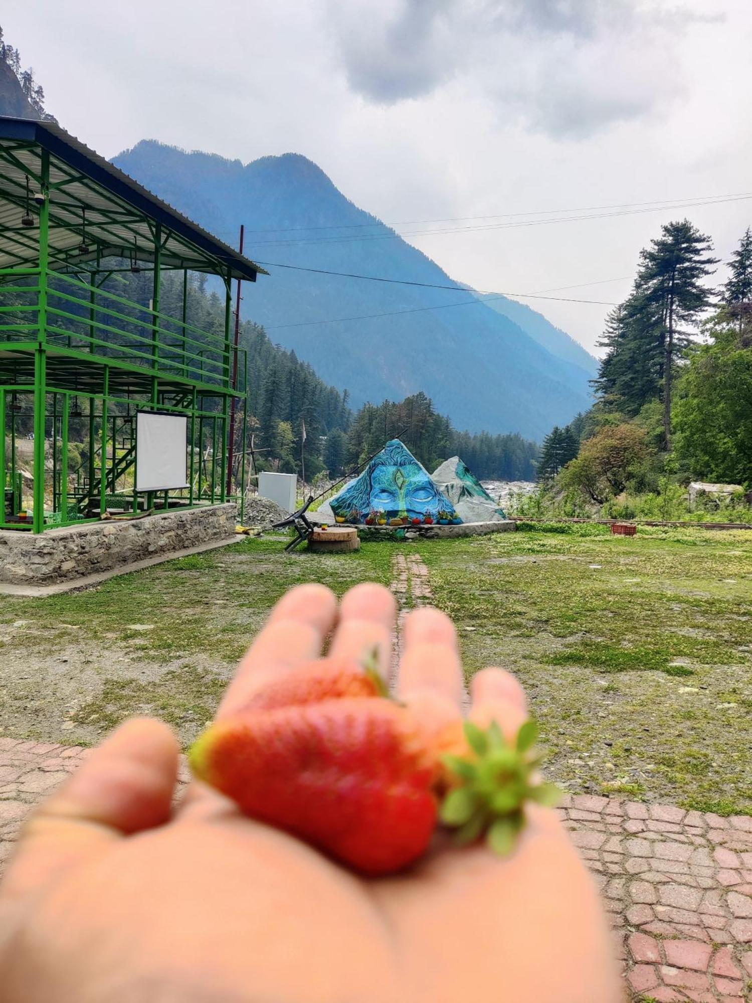 Flipsyde Retreat Hotel Kasol Exterior foto