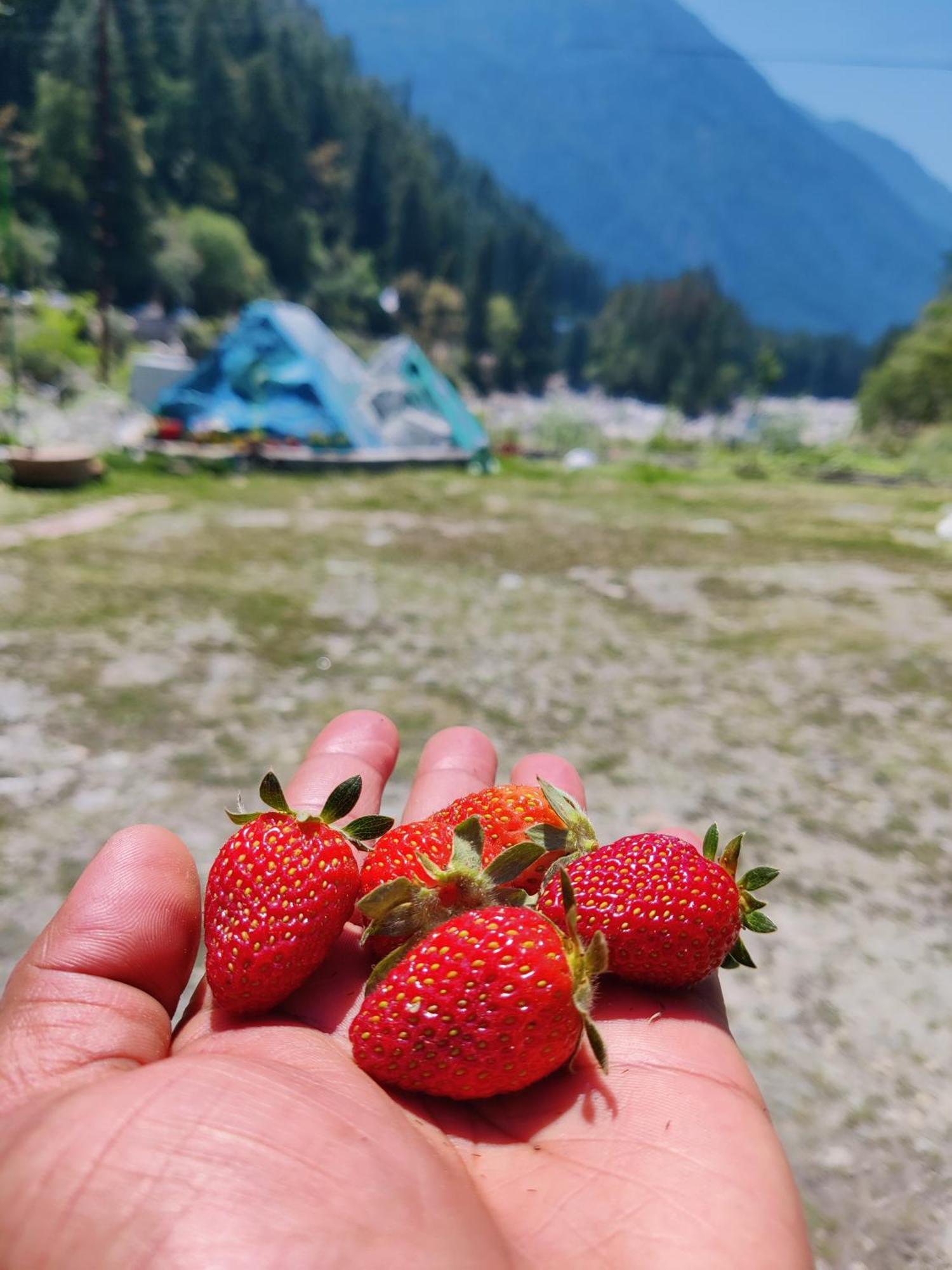Flipsyde Retreat Hotel Kasol Exterior foto