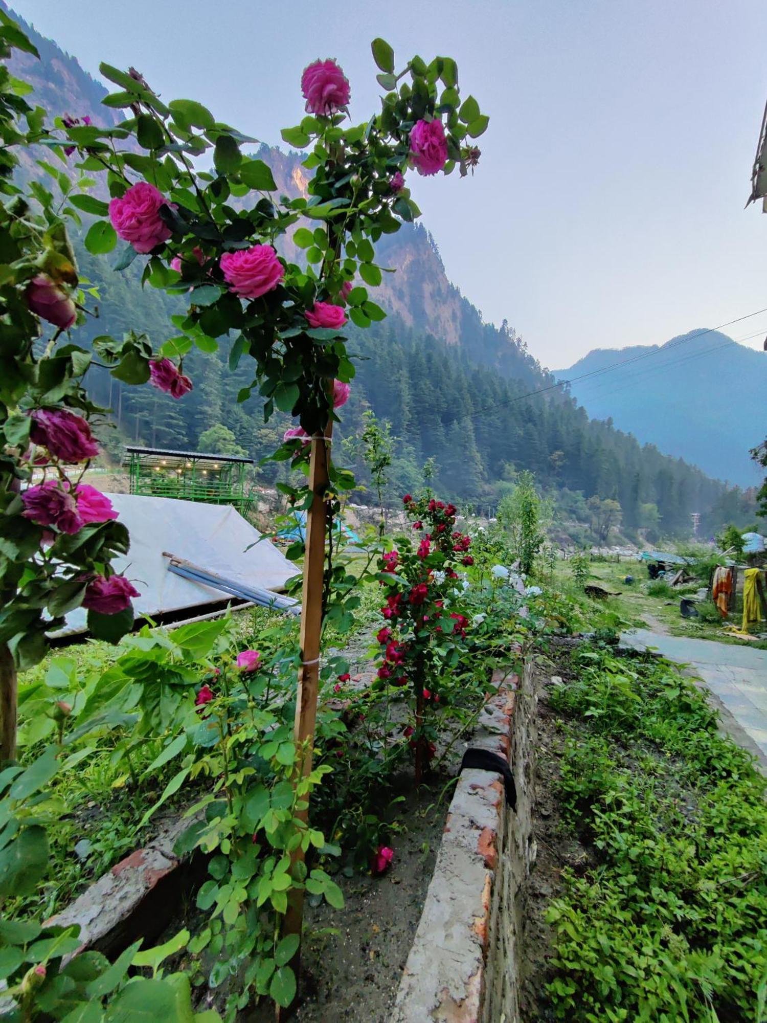 Flipsyde Retreat Hotel Kasol Exterior foto